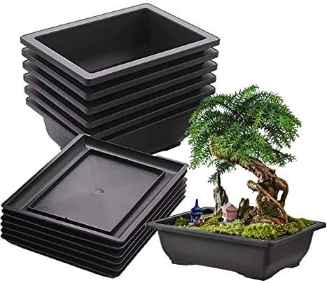 Set di 12 vasi da fiori e vassoi, vasi da addestramento per bonsai in plastica, vaso da fiori rettangolare con vassoio, fioriera per attrezzi da giardinaggio, per soggiorno, ufficio | Fioriere