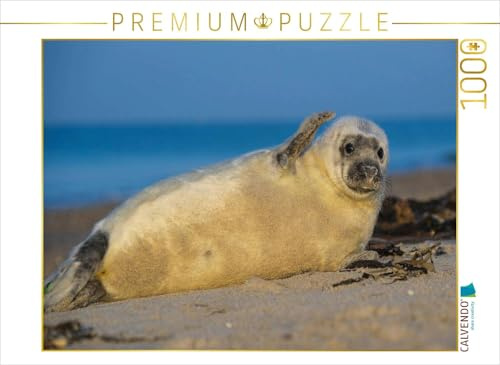 CALVENDO Puzzle EIN Motiv aus dem Kalender Kegelrobben hautnah | 1000 Teile Lege-Größe 64 x 48 cm Foto-Puzzle für glückliche Stunden