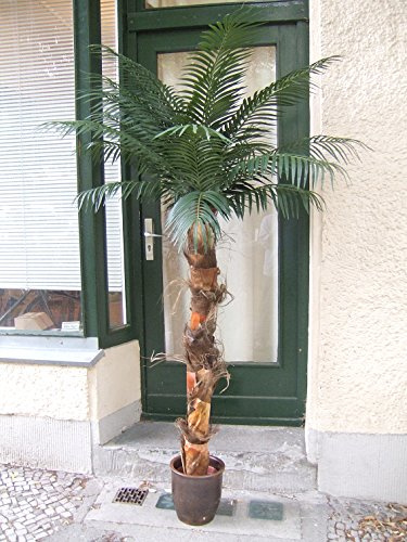 Künstliche Palme ca. 2,10m Textilwedel sehr schön Top-Qualität