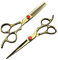 Golden Profi Friseur Schere 6 Zoll 7 Zoll Friseur Schere Set