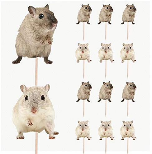 AK Giftshop Cupcake-Aufsätze für Geburtstagspartys, Hamster, Haustiere, 14 Stück