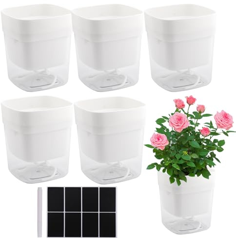 CHUIFAI 6er Set 12cm Kräutertopf Selbstbewässernd, Selbstbewässerungstopf Durchsichtig, Self Watering Pot, Pflanzentopf mit Selbstbewässerung Eckig für Küchenkräuter, Zimmerpflanzen