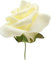 Rosen creme, 5 cm, Herzbox a 12 St.
