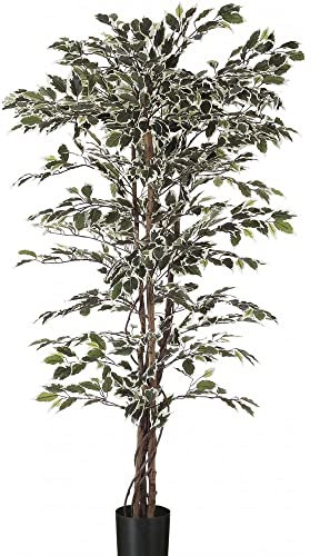 Artificial Ficus Tree - Green or Variegated Leaf - 3 sizes (Variegated, 1.5m - (5ft))