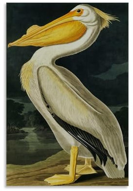 LJPENART John James Audubon Poster (amerikanischer weißer Pelikan, Leinwand-Kunstdruck, Foto, Gemälde, Raumdekoration, Heimdekoration, 30 x 45 cm)