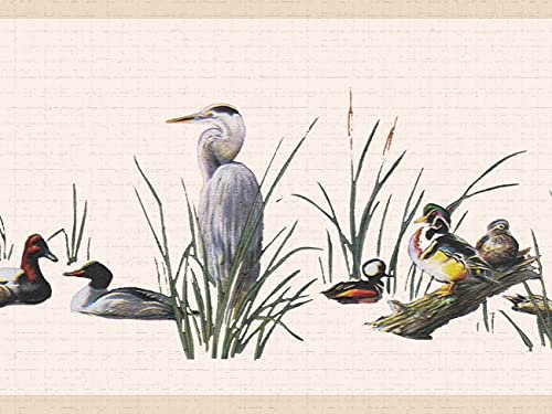 Dundee Deco DDAZBD9220 Peel and Stick Wallpaper Border - Nature White Green Birds Wall Border Retro Design, 15 ft x 7 in (4.57m x 17.78cm), Self Adhesive