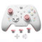 Black Shark BIGBIG WON Rainbow 2 SE Wireless Controller - Motion Control, Hall-Effekt-Trigger, 12-Bit-ADC, 3 Joystick-Sets, 4-Wege- und 8-Wege-D-Pad für Switch/PC/Android/iOS