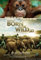 Filmposter Born to Be Wild, 28 x 43 cm, Filmposter #a1451