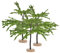 BESTonZON 3 Stück Simulierter Minibaum Artificial Tree mikrolandschaft Kreatives Landschaftsmodell Zug Mini-Bäume zum Basteln Baummodell Mini-Landschaftsmodell Baumbaumodell Plastik