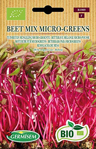 Germisem Orgánica Beet Mix Micro-Greens Semillas de Nabo Rojo 10 g