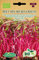 Germisem Rote Rübe fur microgreens BEET MIX MICRO-GREENS, ECBIO1909