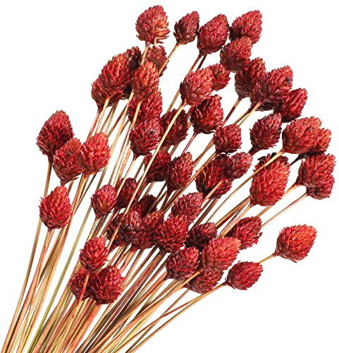 Rtteri 60 Pcs Red Dried Flowers with Stems for Vase Bouquet Bulk 16 Mini Ball Flowers Natural Fall Dried Pine Ball Eternal Life with Wedding Decor Bridal Shower Arrangement Party Table Decor