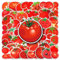 Tomaten Aufkleber 50 Stück Wasserdicht Cartoon Gemüse Aufkleber für Laptop Skateboard Gepäck Koffer Notebook Scrapbook Telefon Gitarre Computer Auto,Vinyl Cute Obst Stickers für Kinder Erwachsene