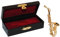 alles-meine.de GmbH 2 TLG. Set Saxophon mit Kasten - Metall Miniatur - Maßstab 1:12 - Puppenstube Musikinstrument Instrument - Instrumente