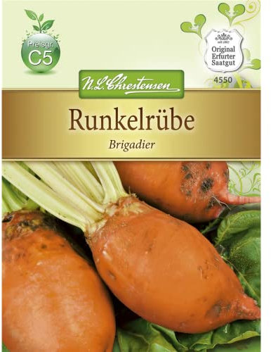 Futterrübe Brigadier Runkelrübe Rübe