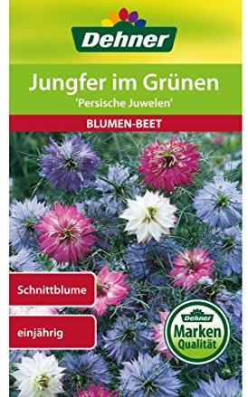 Dehner Blumen-Saatgut, Jungfer im Grünen, Persische Juwelen, 5er pack (5 x 2 g)