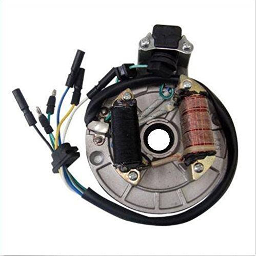 Rasant-Versand Monkey - DAX - ATV - Dirtbike Zündung Dirtbike Pitbike Cross Lichtmaschine Zündung 12V Kickstart