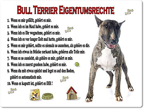 Merchandise for Fans Blechschild/Warnschild/Türschild - Aluminium - 30x40cm Eigentumsrechte Motiv: Bull Terrier Bullterrier stehend - 01