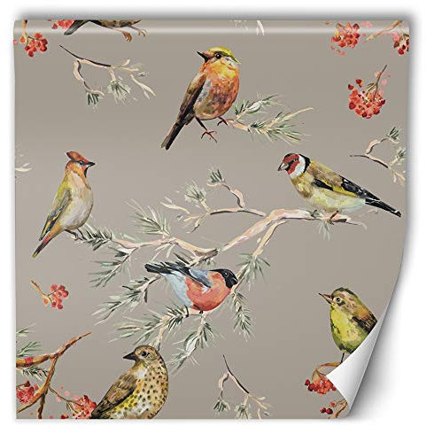 Feeby Papier peint intissé oiseaux 100x100 cm multicolore déco murale