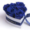 ROSEMARIE SCHULZ Heidelberg Infinity Rosenbox Herzform konservierte Rosen personalisiert mit Widmung EIN persönliches Geschenk für Frauen (Wunschtext, Blau)