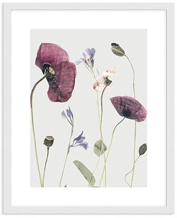 artissimo, Design-Edition, Poster 40x50 cm mit Holz-Rahmen, PE6624-ER, Trocken-Blumen: Klatsch-Mohn, Blüten, Bild rosa lila, Design-Poster, skandinavisches Design