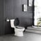 Spot on dealz 18 Stylish & Durable MDF Glitter Coating Toilet Seat – Add a Touch of Glamour to Your Bathroom Stylish Bathroom Accessory Luxury Toilet seat (Black)