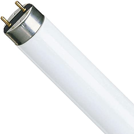 PHILIPS-LICHT Leuchtstofflampe 18W TL-D SUPER 80, G13,