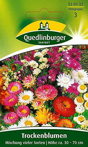 Trockenblumen Mischung vieler Sorten von Quedlinburger Saatgut