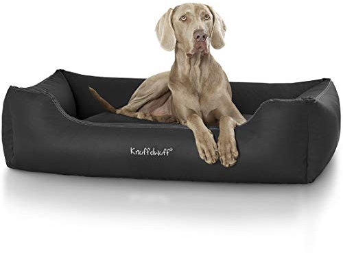 Knuffelwuff Kunstleder Hundebett Sidney M-L 85 x 63cm Schwarz - abnehmbarer Bezug - leicht zu reinigen - für große, mittelgroße und kleine Hunde