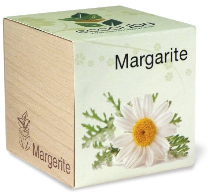 FEEL GREEN ecocube Holzwürfel - Margarite