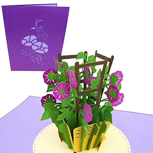 PopLife lila Morgenschein Pop Up Valentinstag-Karte - 3D-Blumen-Jubiläum Pop Up, Muttertagsgeschenk, Geburtstag, Dankeschön - Flach gefaltet für Mailing - für Mama, Tochter, Frau, Oma