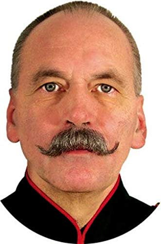 Echthaarbart Wilhelm schwarz