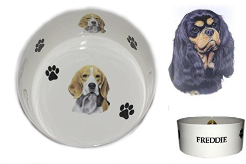 (BB2) Large Sized 18cm/7 Bone China Personalised Black & Tan Cavalier King Charles Spaniel Dog Bowl