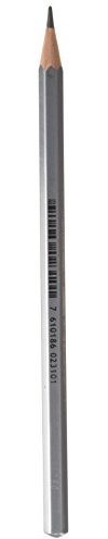 Caran d'Ache d´Ache Artist Bleistift Grafwood Zedernholz Härtegrad B Wasserlöslich, Größe: ca. 14cm, 0775.251, Silber