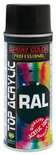 Eco Service 90010/030P Top Acrylic Ral 9005, Nero Opaco