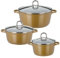 GSW 507004 Gourmet Premium Color Topf-Set, 3-teilig, Gold, Sonstige
