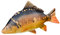 Gaby Unisex Fisch Kopfkissen Groß Karpfen, mehrfarbig, 1