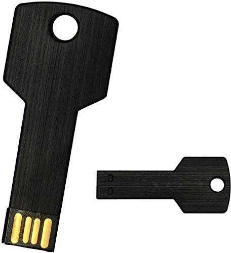10 unidades 2GB USB flash drive con forma de llave, metal, Metal, impermeable), diseño con forma de llave memory stick usb 2.0 (2.0 GB)