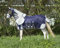 QHP Falabella Minishetty Fliegendecke mit Hals und Maske Schweif- Bauchlatz (75 cm, blau)