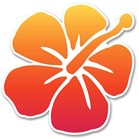 2 x 10 cm Hibiskus-Blumen-Vinyl-Aufkleber für Auto, Fahrrad, Laptop, Helm, Hawaii Surf #6259 (10 cm x 10 cm)