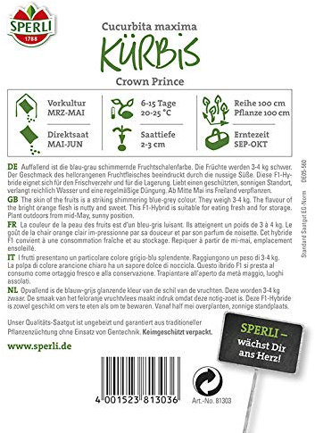 Kürbis Crown Prince F1