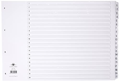 Concord Classic Index Mylar-reinforced Punched 4 Holes 1-20 A3 White Ref 04801/CS48
