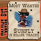 Sunfly Karaoke Most Wanted Volume 847 (CD+G)