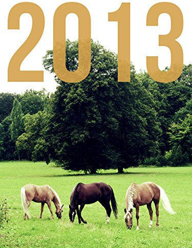 Kalender 2013: Pferde