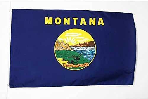AZ FLAG - Flagge Montana - 150x90 cm - Bundesstaat Montana Fahne 100% Polyester mit Messing-Ösen - 110g
