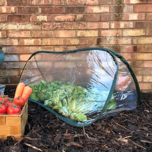 GardenSkill Mini Serre Tunnel de Jardin 150x60cm | Pop Up Tente de Croissance | Protection Anti-Insecte pour Semis, Cultures de Printemps, Potager, Jardinière, Lit Surlevee