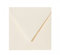 Paper24 50 quadratische Briefumschläge 125 x 125 mm, 12,5x12,5 cm, 120 g/m² mit Dreieckslasche Farbe: 01 Zartcreme