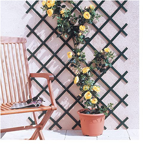 Treillis pour plantes en plastique extensible, couleur verte, 300 x 100 cm.