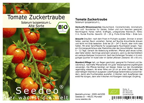 Tomate Zuckertraube (Lycopersicum L.) 30 Samen BIO