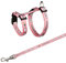 Trixie 6265 Geschirr mit Leine für kleine Kaninchen, Nylon, 20–33 cm/8 mm, 1,25 m